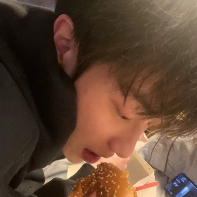 兽设复古风格设计福瑞群